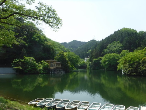 DSCF2431