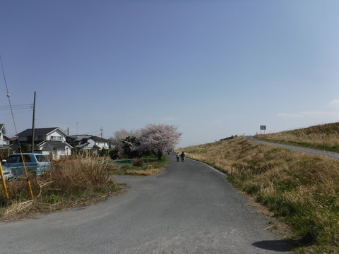 DSCF8080