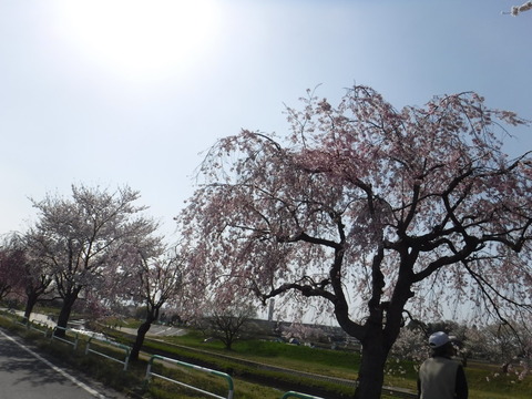 DSCF8142