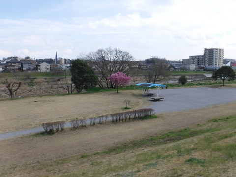 DSCF7976