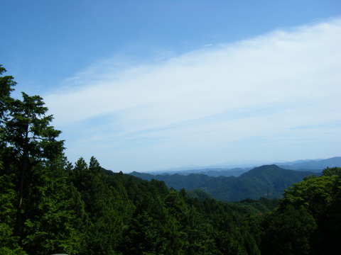 DSCF3129