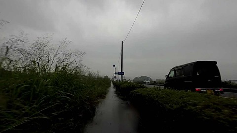 MP4_000151129