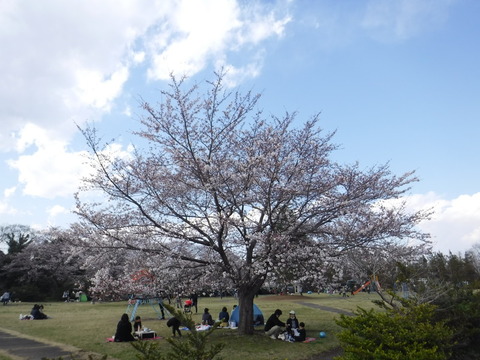 DSCF7968
