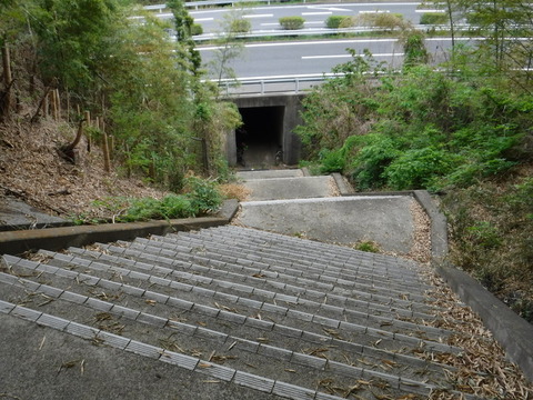 myogi-101
