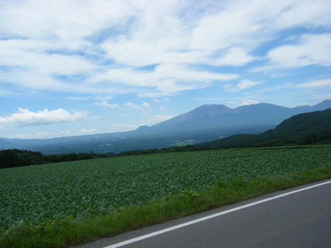 DSCF2346