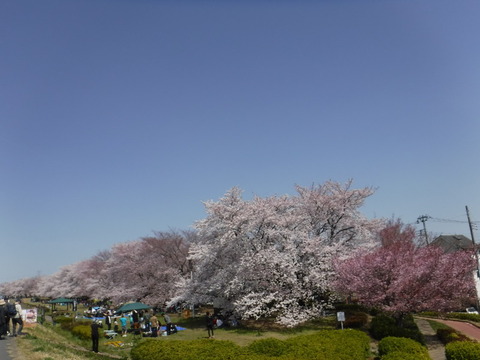 DSCF8001