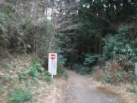 DSCF7441