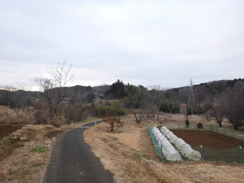 DSCF7477