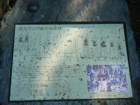 DSCF3145