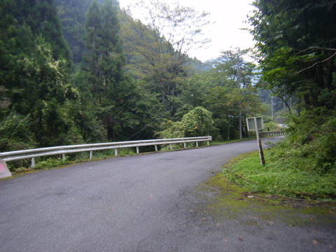 DSCF2460