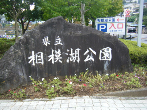 DSCF2580