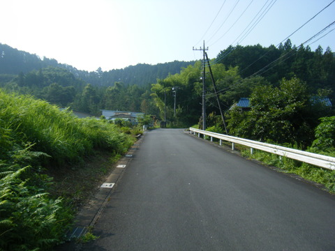 DSCF2417