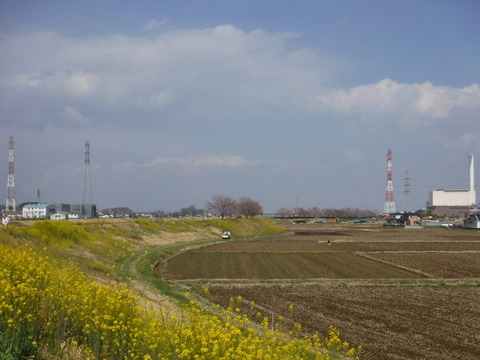 DSCF7951