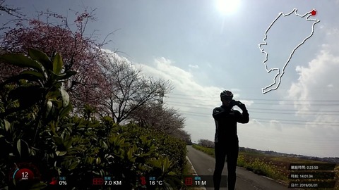 190331_Sakura.mp4_001555387