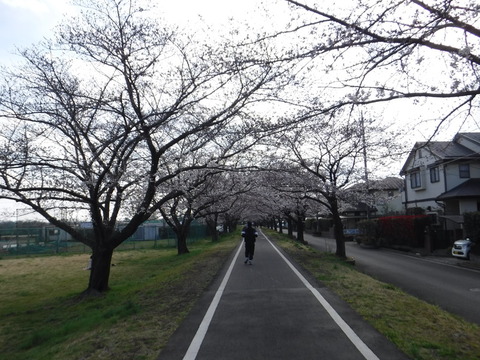 DSCF7961