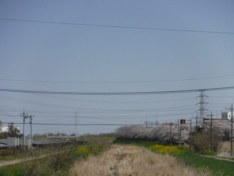 DSCF8048