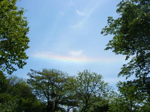 DSCF3103