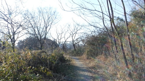 DSCF4158