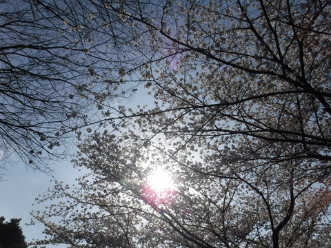 DSCF8150