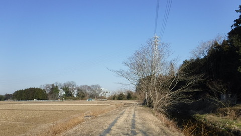 DSCF4156