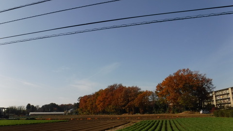 201213_角川武蔵野ミュージアム_008