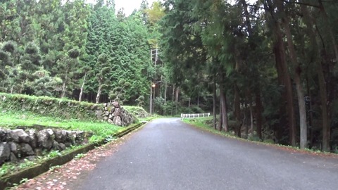 MP4_000731129