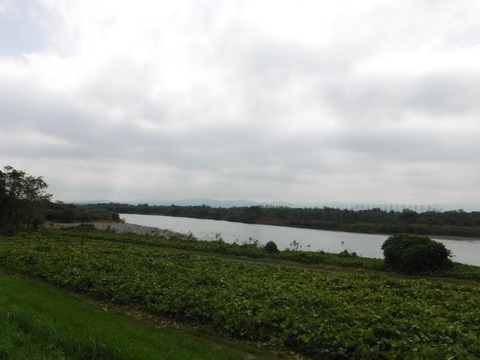 DSCF6607