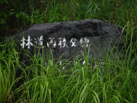 DSCF1015