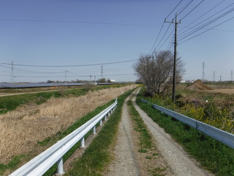 DSCF8049
