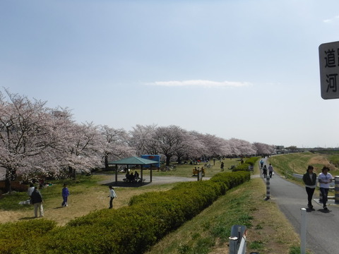 DSCF8007