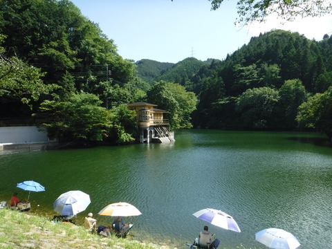 DSCF6010