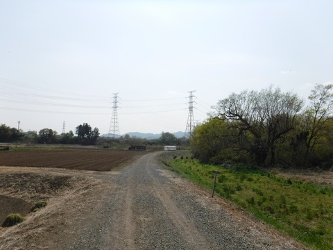 DSCF8502