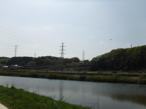 DSCF8507