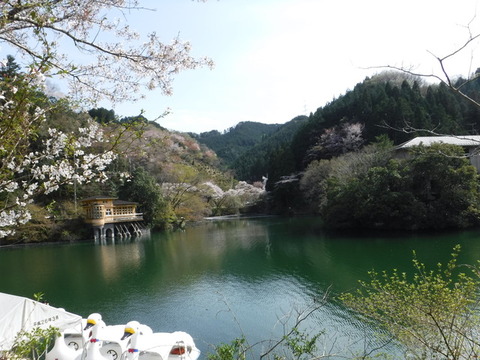DSCF0075