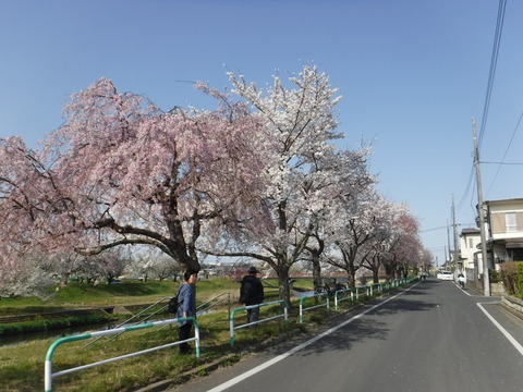 DSCF8167
