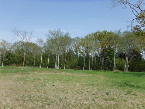 DSCF8509
