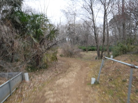 DSCF7478