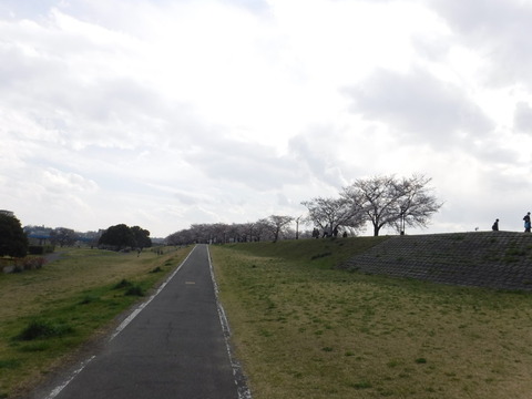 DSCF7969