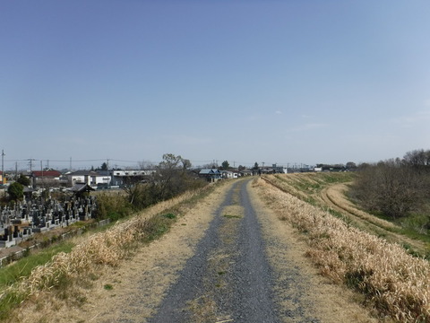 DSCF8100