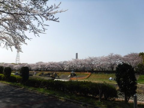 DSCF8146