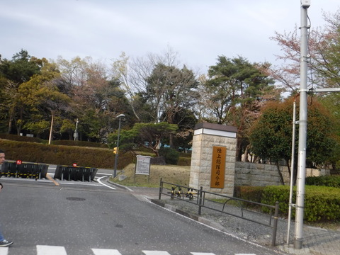 190414_多摩湖145