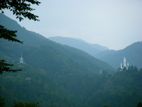 DSCF2451