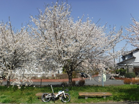 DSCF8082