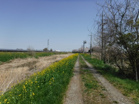 DSCF8051
