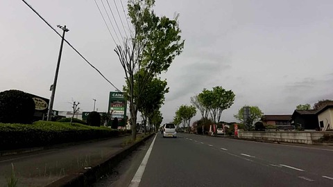 MP4_000499292