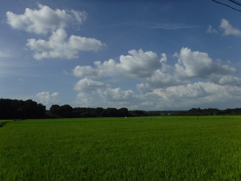 DSCF6028