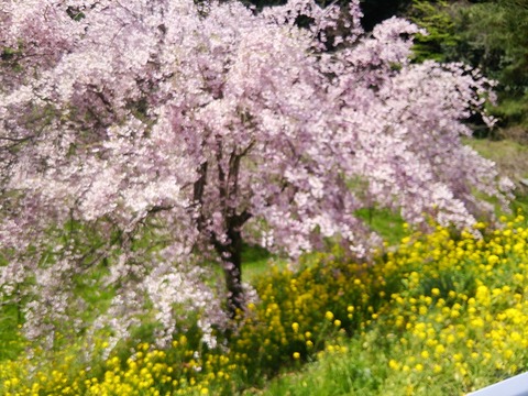20150418_101348-0