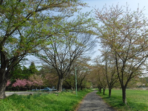 DSCF8512