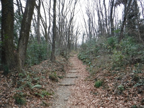 DSCF7445