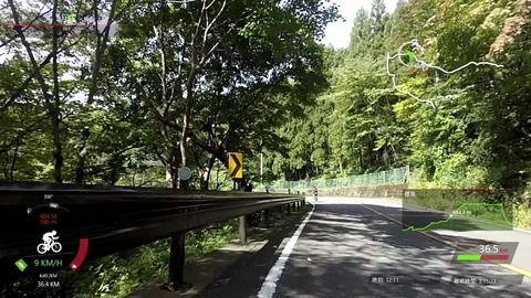 mp4_009377960